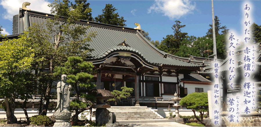 メインイメージ　推奨サイズW900×439px